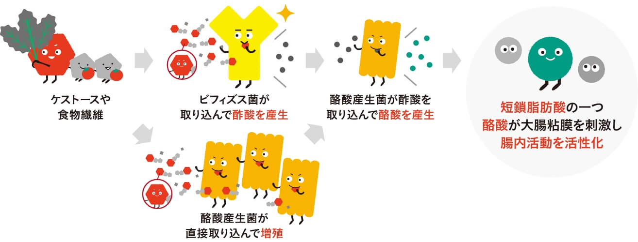 注目すべきは「酪酸」